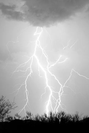 Premium Photographic Print, , small