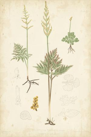Premium Giclee Print, , small