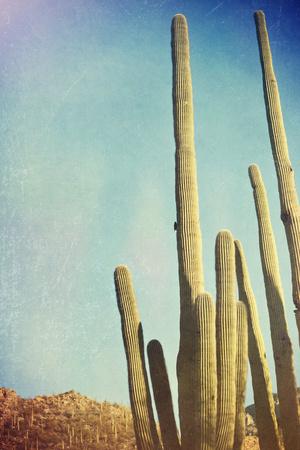 Premium Giclee Print, , small
