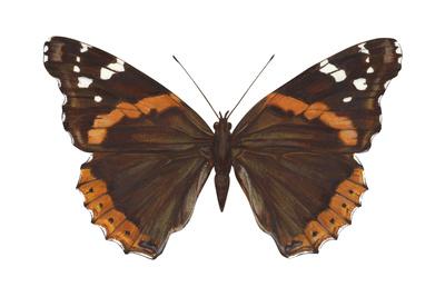 Premium Giclee Print, , small