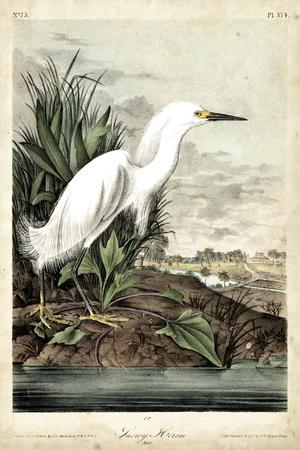 Premium Giclee Print, , small