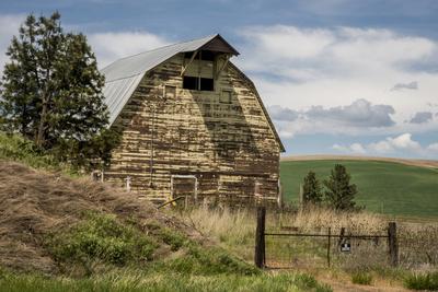 Premium Photographic Print, , small