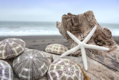 Premium Photographic Print, , small