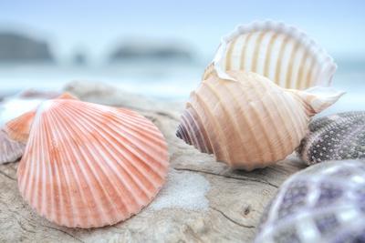 Premium Photographic Print, , small