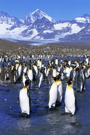Premium Photographic Print, , small