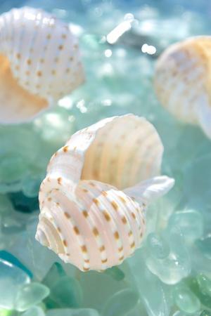 Premium Photographic Print, , small