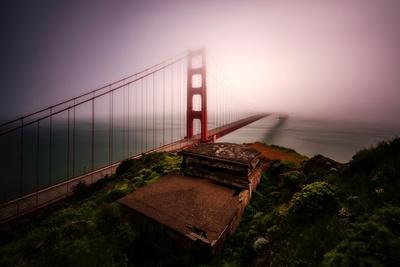 Premium Photographic Print, , small