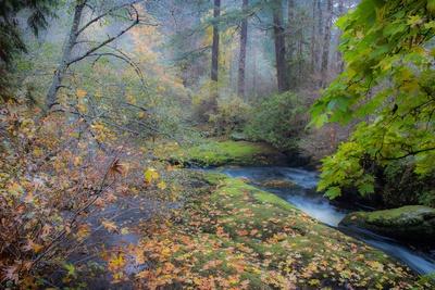 Premium Photographic Print, , small