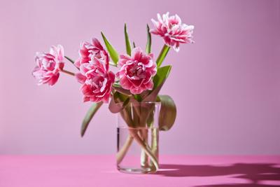 Premium Photographic Print, , small