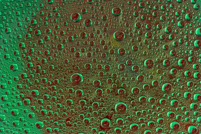 Premium Photographic Print, , small