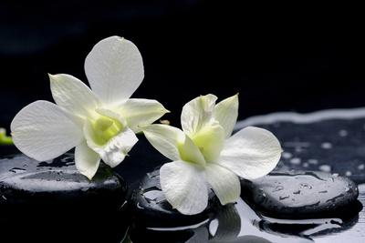 Premium Photographic Print, , small