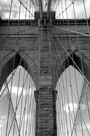 Premium Photographic Print, , small