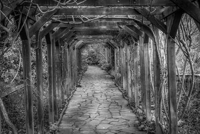 Premium Photographic Print, , small