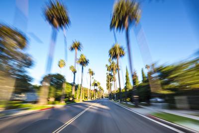 Premium Photographic Print, , small