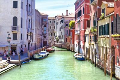 Premium Photographic Print, , small