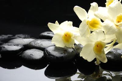 Premium Photographic Print, , small