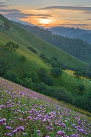 Premium Photographic Print, , small