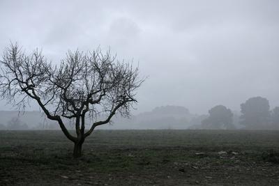 Premium Photographic Print, , small