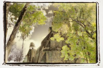 Premium Photographic Print, , small
