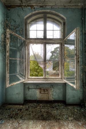 Premium Photographic Print, , small
