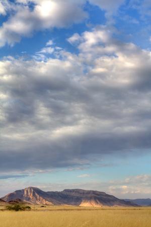 Premium Photographic Print, , small