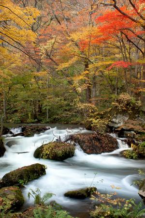 Premium Photographic Print, , small
