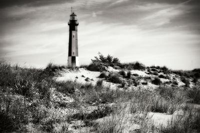 Premium Photographic Print, , small