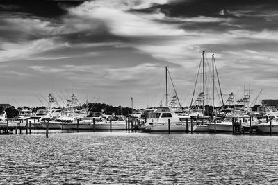 Premium Photographic Print, , small