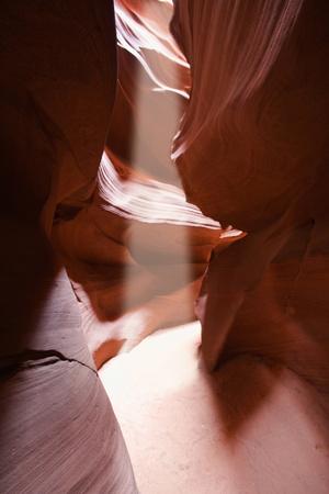 Premium Photographic Print, , small