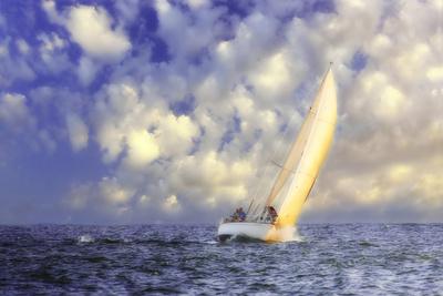 Premium Photographic Print, , small