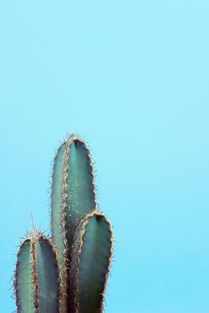Premium Photographic Print, , small