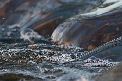 Premium Photographic Print, , small