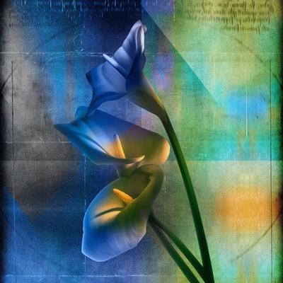 Premium Photographic Print, , small