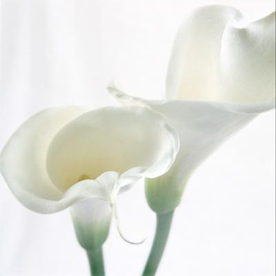 Premium Photographic Print, , small