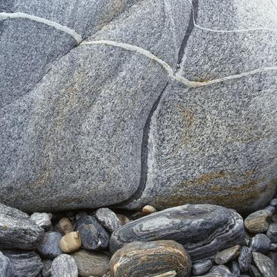 Premium Photographic Print, , small