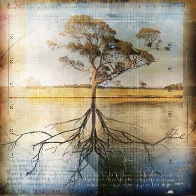 Premium Photographic Print, , small