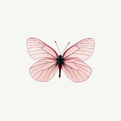 Premium Photographic Print, , small
