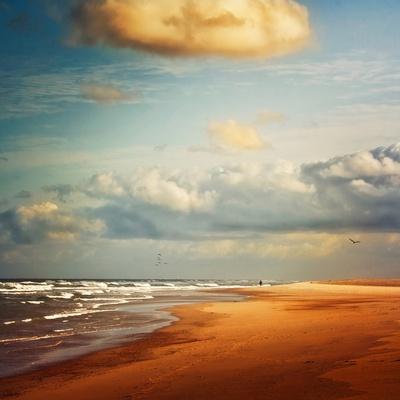 Premium Photographic Print, , small