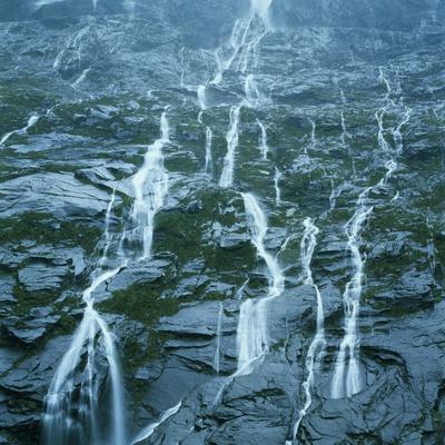 Premium Photographic Print, , small