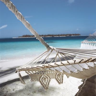 Premium Photographic Print, , small
