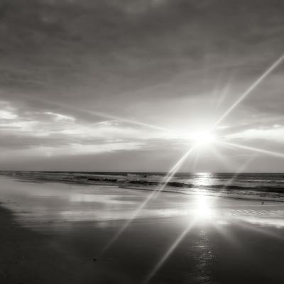 Premium Photographic Print, , small