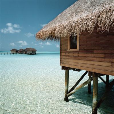 Premium Photographic Print, , small