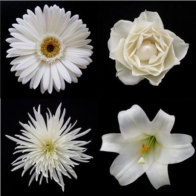 Premium Photographic Print, , small