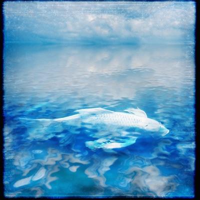 Premium Photographic Print, , small