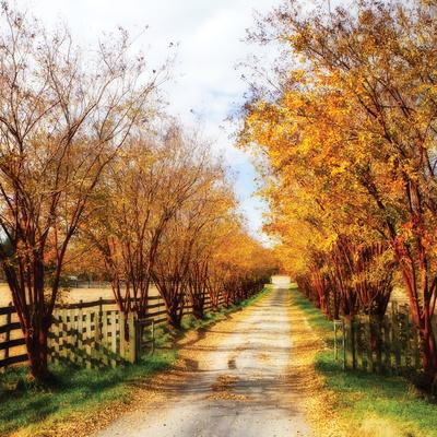 Premium Photographic Print, , small