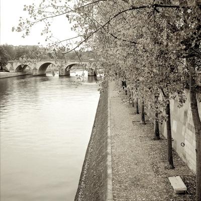Premium Photographic Print, , small