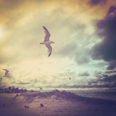 Premium Photographic Print, , small
