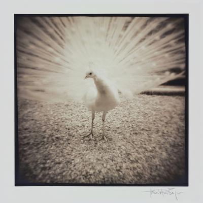 Premium Photographic Print, , small