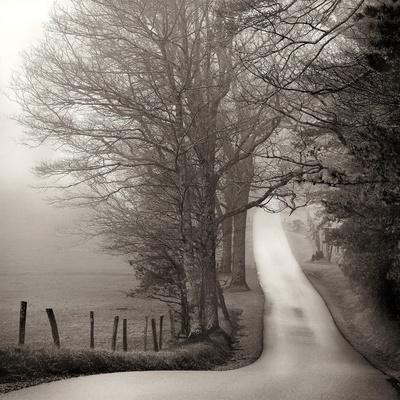 Premium Photographic Print, , small