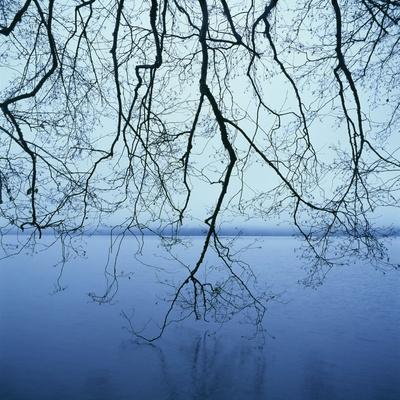 Premium Photographic Print, , small